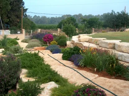 גינות לגלריה 32